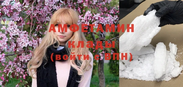 прущие грибы Балабаново