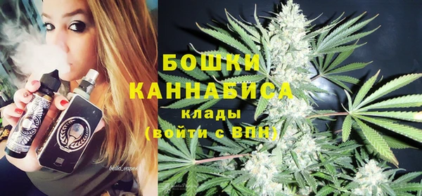 прущие грибы Балабаново