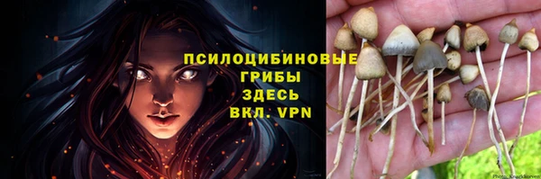 трава Балахна