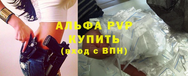 apvp Белокуриха