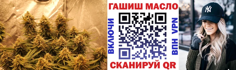 Дистиллят ТГК THC oil даркнет сайт Давлеканово